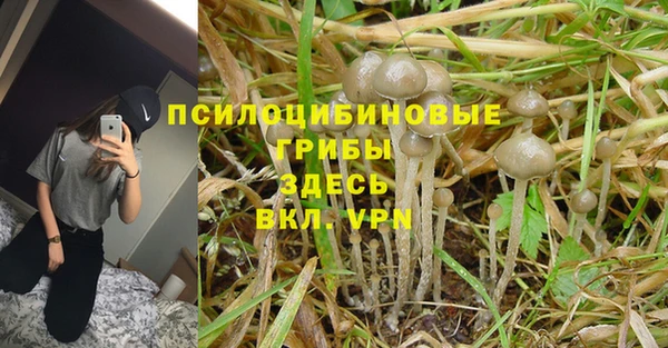 спайс Аркадак